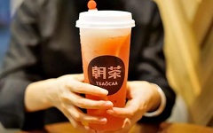 TSAOCAA朝茶加盟店