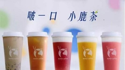 小鹿茶加盟好嗎?品牌優(yōu)勢多值得信賴!